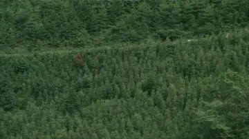 Backdrop to the movie "On the Road Forever" #1622071