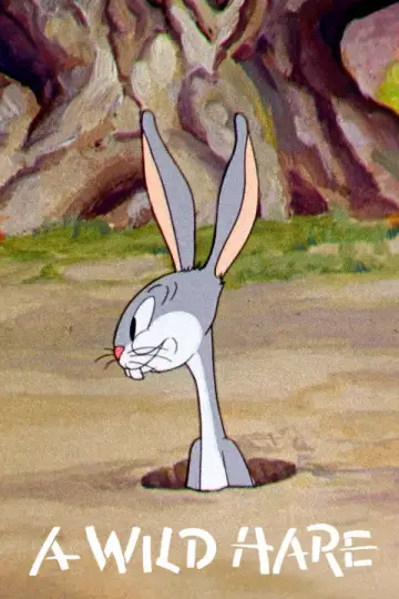 Poster to the movie "A Wild Hare" #1298325