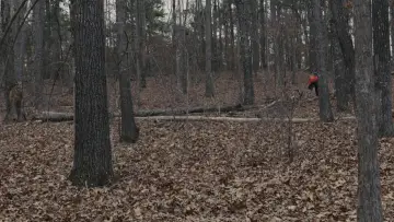 Backdrop to the movie "Prisoners" #639611