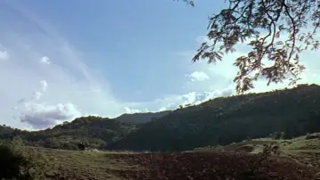 Backdrop to the movie "The Last of the Fast Guns" #1791851