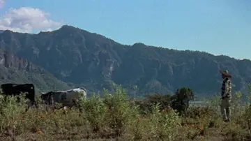 Backdrop to the movie "The Last of the Fast Guns" #1791857