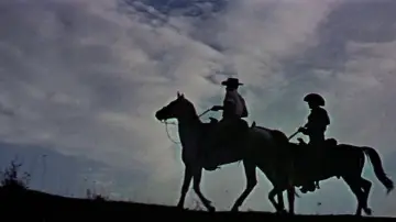 Backdrop to the movie "The Last of the Fast Guns" #1791858