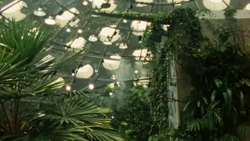 Backdrop to the movie "Tropical Fractals" #822398