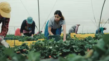Backdrop to the movie "Strawberries" #1143165