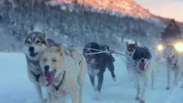 Backdrop to the movie "Folktales" #536115