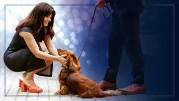 Backdrop to the movie "Paws in the City" #788918
