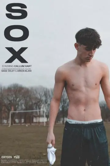 Sox Poster