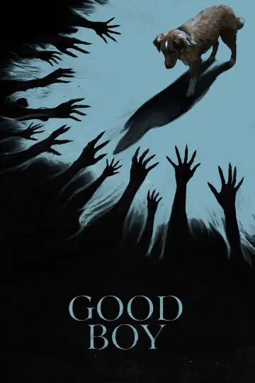 Poster to the movie "Good Boy" #517371