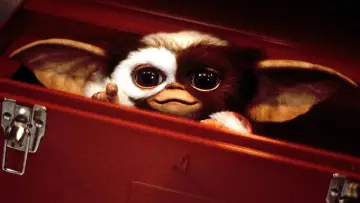 Backdrop to the movie "Gremlins 3" #1183209