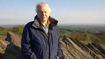 Backdrop to the movie "Attenborough