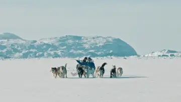 Backdrop to the movie "Greenland" #1833071