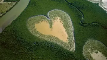 Backdrop to the movie "Nature: The Call for Reconciliation" #1224218