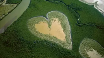 Backdrop to the movie "Nature: The Call for Reconciliation" #1224220