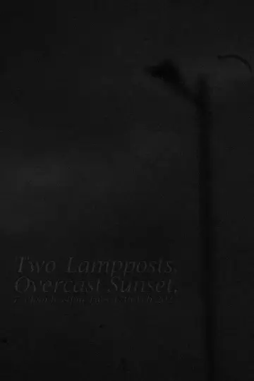 Poster to the movie "Two Lampposts, Overcast Sunset, 7.58pm-8.34pm Tues 17th Feb 2025" #941320