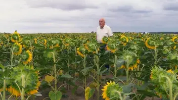 Backdrop to the movie "Beau comme un tracteur" #1175397