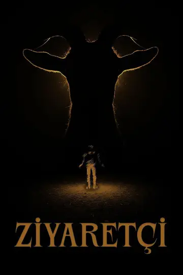 Poster to the movie "Visitor" #965175