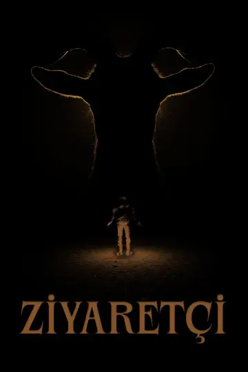 Poster to the movie "Visitor" #965176