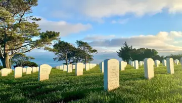 Backdrop to the movie "America at War" #1175393