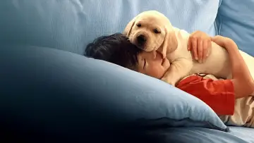 Backdrop to the movie "Pets" #670836