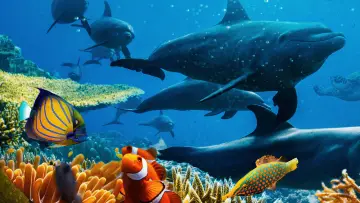 Backdrop to the movie "Ocean with David Attenborough" #617826
