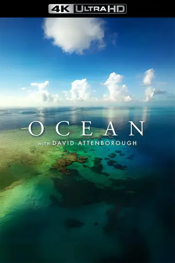 Poster to the movie "Ocean with David Attenborough" #617861