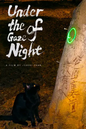Poster to the movie "Under the Gaze of Night" #1527839