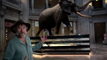 Backdrop to the movie "Ghost Elephants" #911001