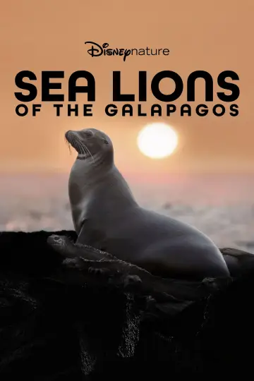 Poster to the movie "Sea Lions of the Galapagos" #719375