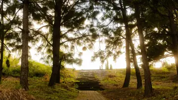 Backdrop to the movie "LIMINAL" #974763