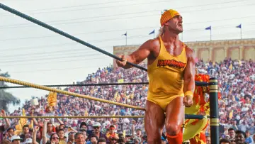 Backdrop to the movie "WrestleMania IX: Becoming a Spectacle" #1582563