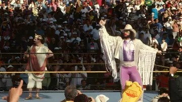 Backdrop to the movie "WrestleMania IX: Becoming a Spectacle" #1582565