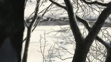 Backdrop to the movie "7FATES: CHAKHO" #1840842