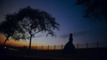 Backdrop to the movie "Natchez" #523360