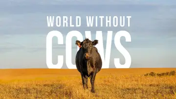 Backdrop to the movie "World Without Cows" #1806807