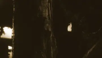 Backdrop to the movie "Silent Trespasser" #1170016