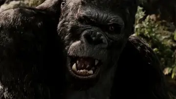 Backdrop to the movie "King Kong: Monster and Myth" #1195162