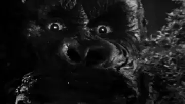 Backdrop to the movie "King Kong: Monster and Myth" #1195166