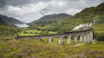 Backdrop to the movie "Red Rue Express" #1159503