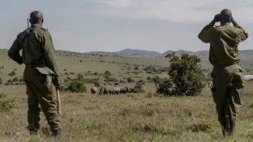 Backdrop to the movie "Rhino" #923519