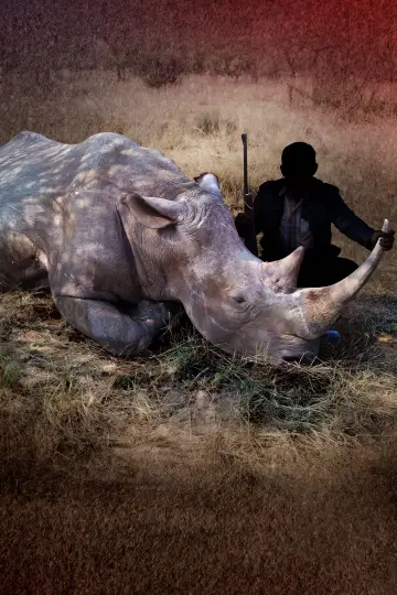 Poster to the movie "Bloody Trophy" #1172128
