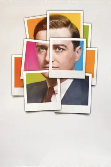 Poster to the movie "Mr. Polaroid" #812827