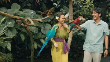 Backdrop to the movie "Paris in Bali" #1184900