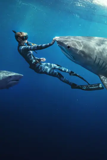 Poster to the movie "Shark Whisperer" #793240