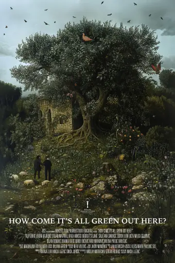 Poster to the movie "How Come It