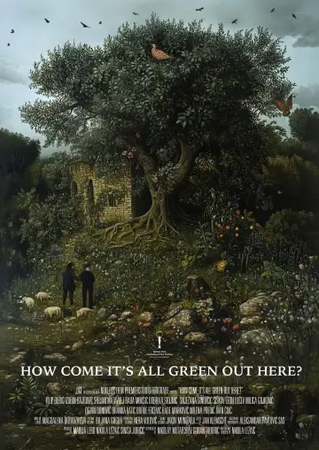 Poster to the movie "How Come It