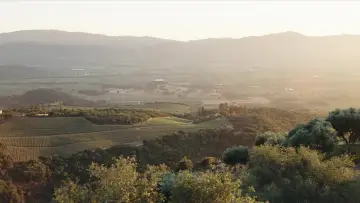 Backdrop to the movie "Artificial" #1898102
