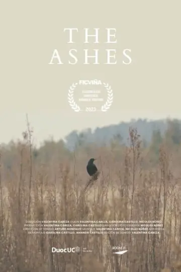 The Ashes Poster