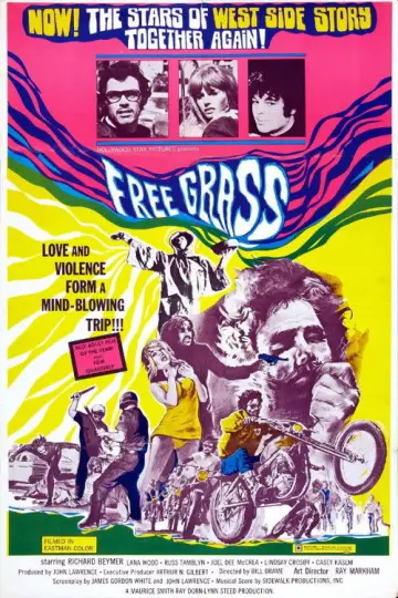 Poster to the movie "Scream Free!" #680474