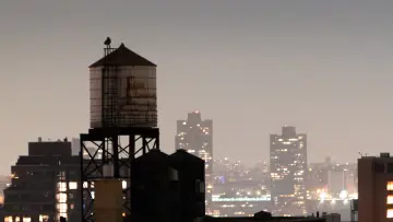 Backdrop to the movie "Wild Inside" #1176422