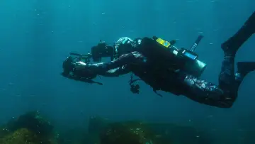 Backdrop to the movie "Sharks Up Close with Bertie Gregory" #792997